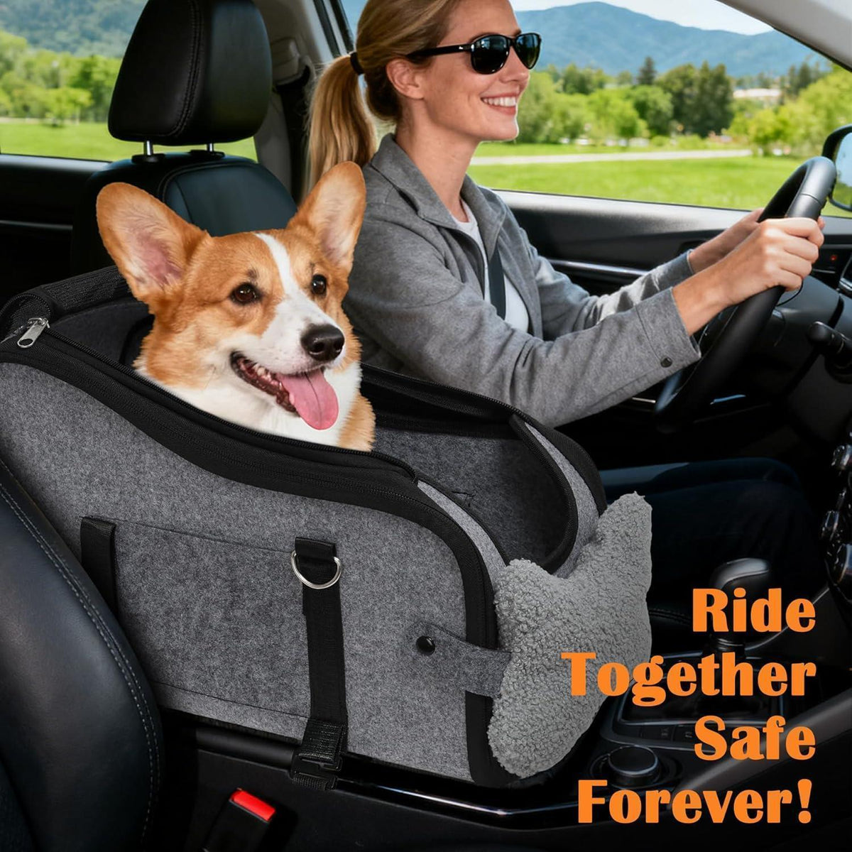 Hunde Autositz für kleine Hunde – Sicher & Komfortabel