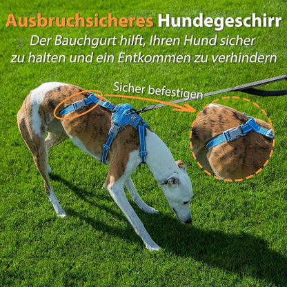 Sicherheitsgeschirr Hund Ausbruchsicher & Reflektierend – Größe M, Meeresblau