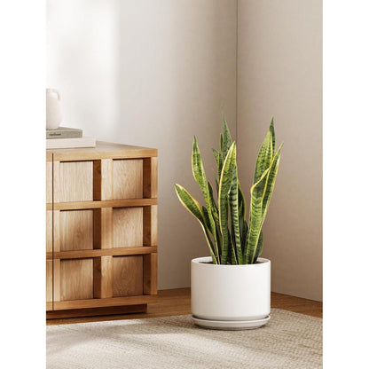Keramik Blumentopf 25cm mit Untersetzer & Drainageloch, Weiß