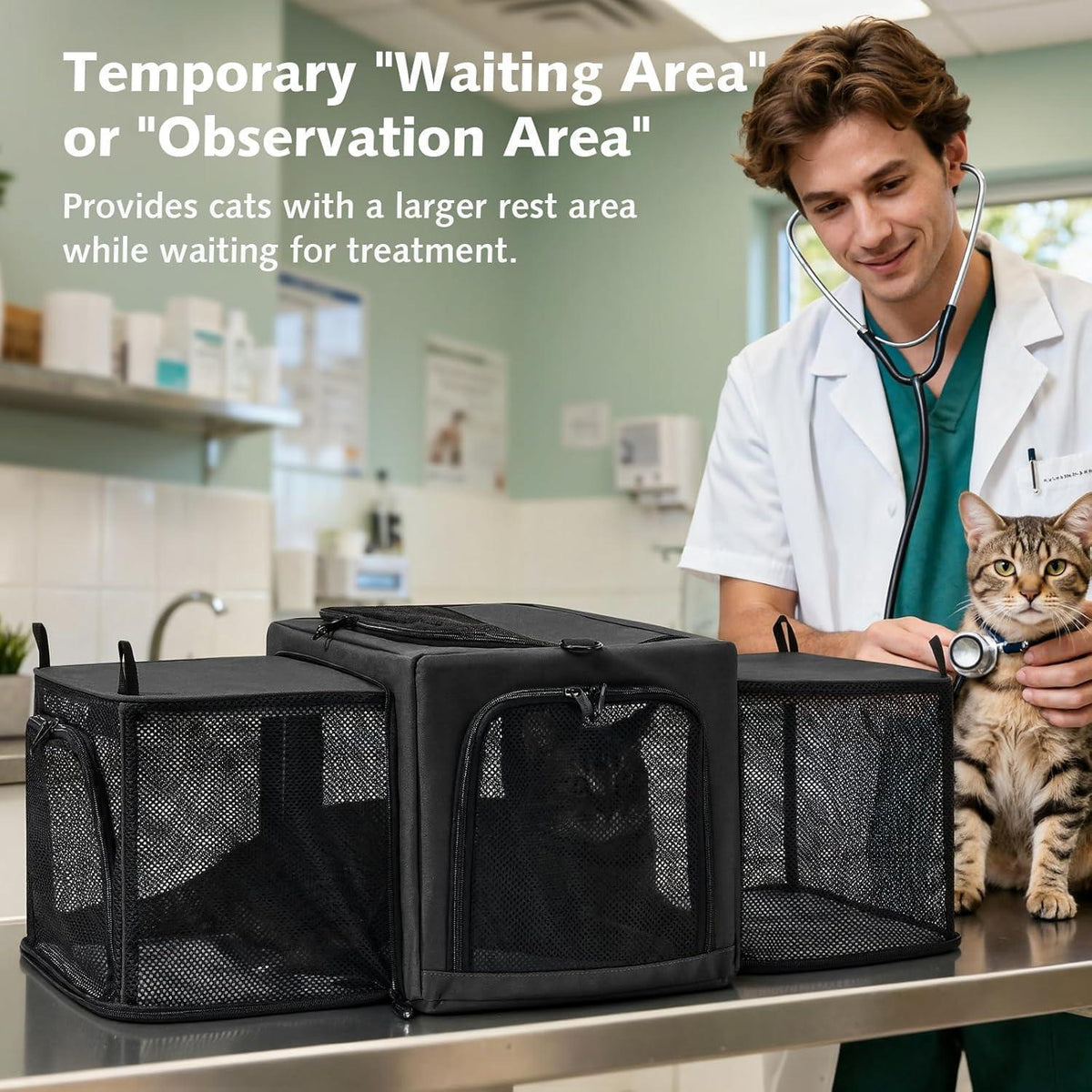 Faltbare Katzentransportbox mit Erweiterung & Ausbruchschutz