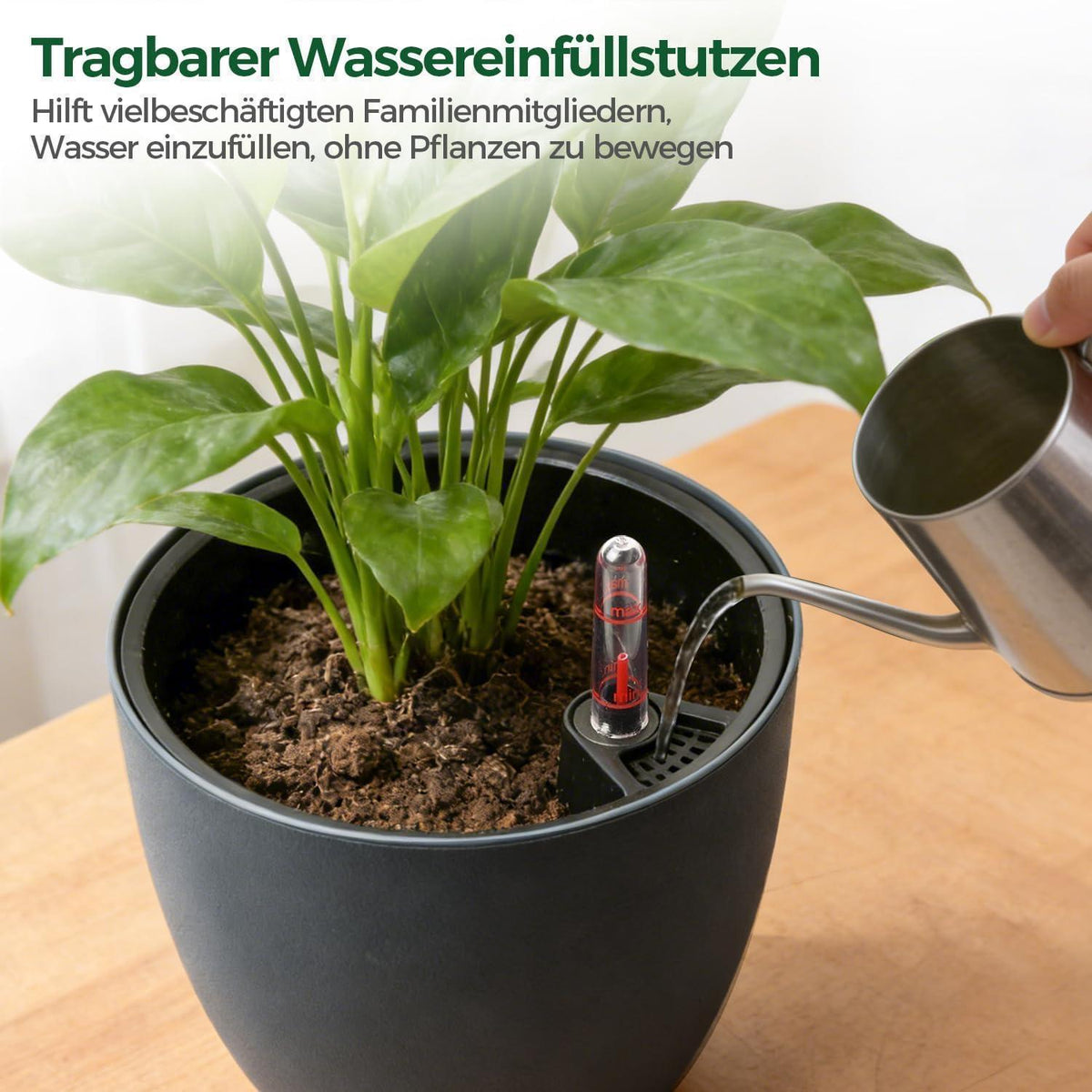 Selbstbewässerungstopf 20cm Grau mit Wasseranzeiger