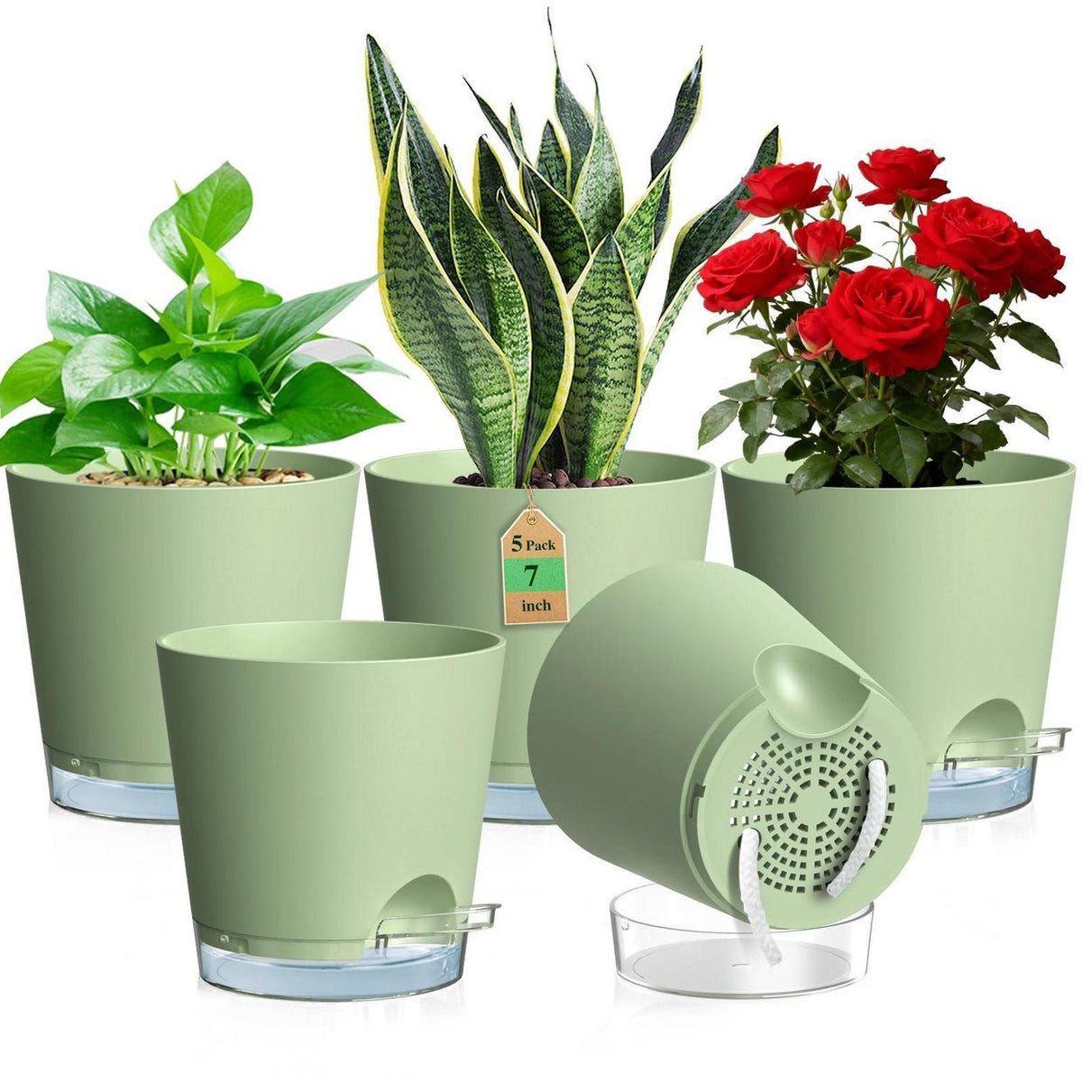 Selbstbewässerungstöpfe 5er Set mit Wasseranzeige
