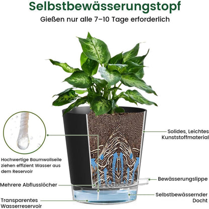 Selbstbewässerungstöpfe 5er Set mit Wasserstandsanzeige
