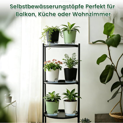 Selbstbewässerungstöpfe 5er Set mit Wasserstandsanzeige