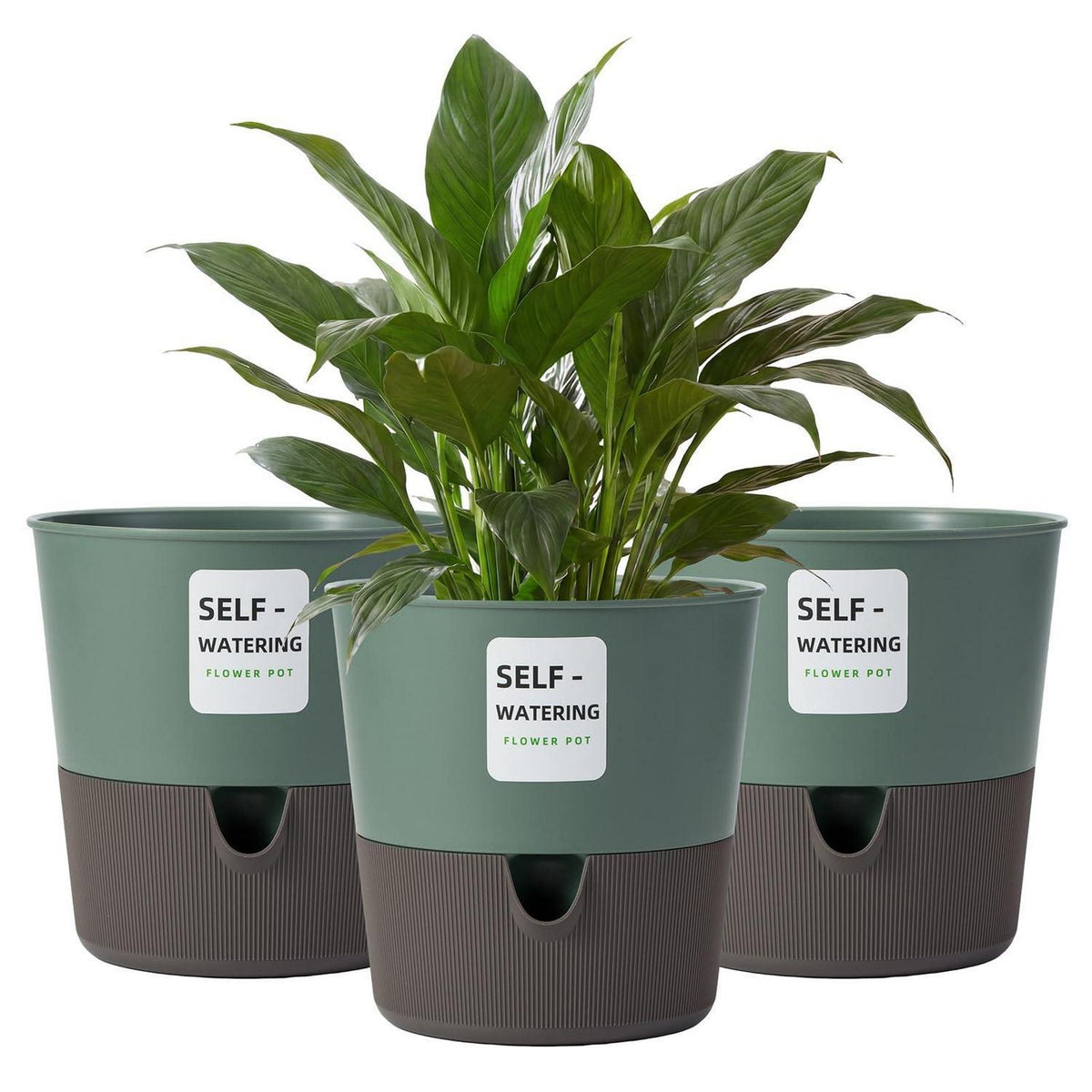 Selbstbewässernde Blumentöpfe 3er Set – 16,5cm Pflanztopf mit Wasseranzeige