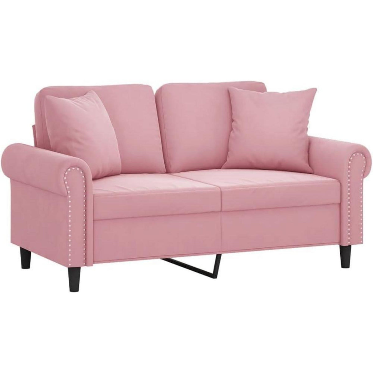 2-Sitzer Sofa Samt Rosa – Modernes Mini Sofa mit Kissen