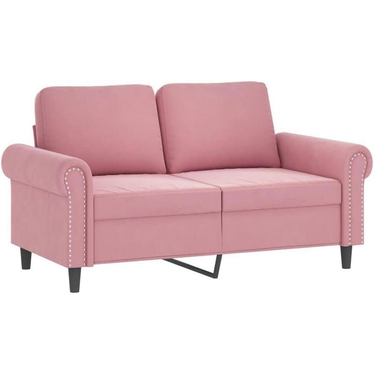2-Sitzer Sofa Samt Rosa – Modernes Mini Sofa mit Kissen