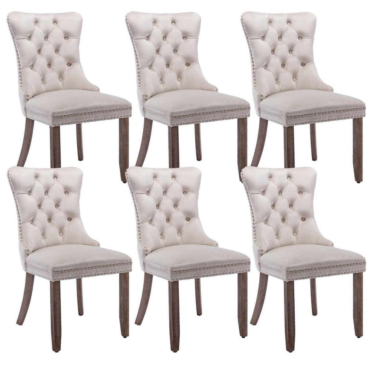 Samt Esszimmerstühle 6er Set mit Massivholzbeinen, Beige