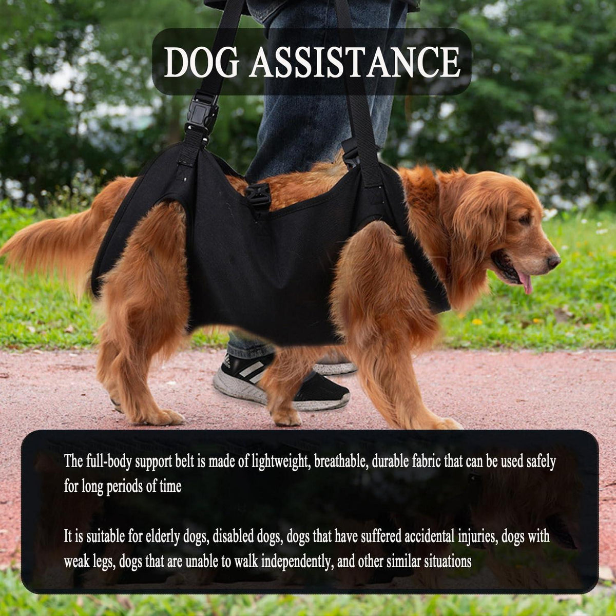 Verstellbares Hundegeschirr XL – Tragehilfe & Gehhilfe