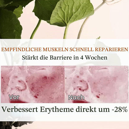 Centella Gesichtspflege Set – Beruhigend & Regenerierend