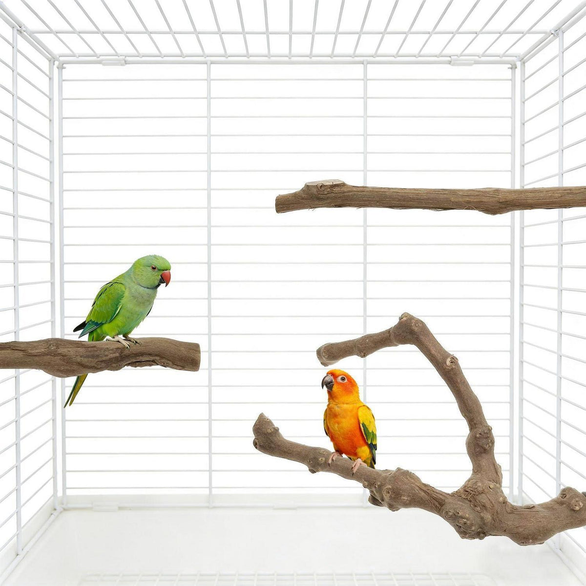 Naturholz Sitzstangen Set für Vögel – 6 Stück
