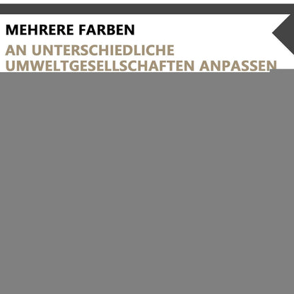 Konferenztisch 240x100cm mit Kabeldurchführung – Modern & Stabil