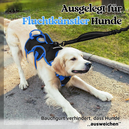 Hundegeschirr Brustgeschirr Groß Hunde Schwarz & Marineblau L