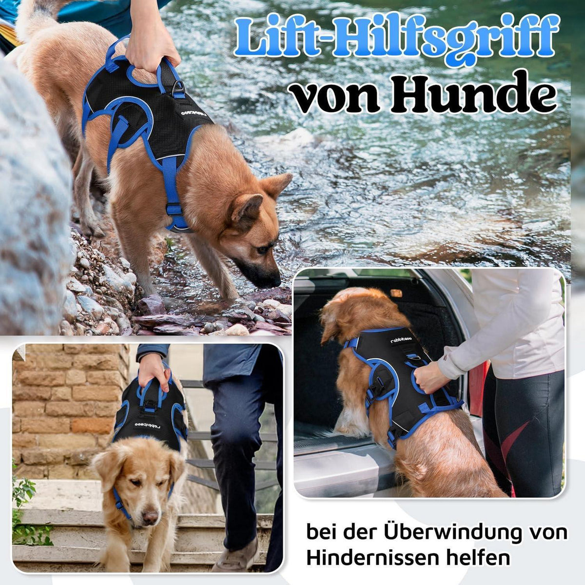 Hundegeschirr Brustgeschirr Groß Hunde Schwarz & Marineblau L