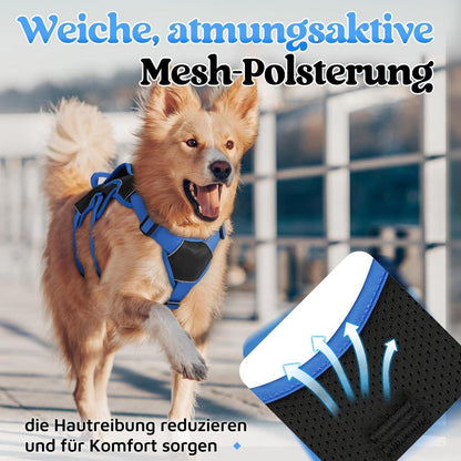 Hundegeschirr Brustgeschirr Groß Hunde Schwarz & Marineblau L