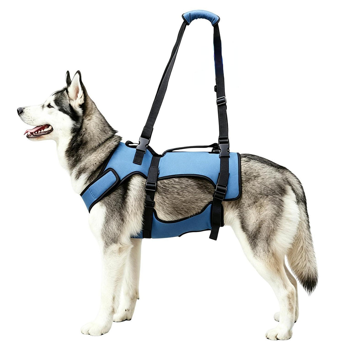2-in-1 Hundegeschirr Gehhilfe – Größe L – Für Senioren & Gelenke