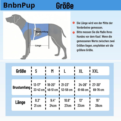 2-in-1 Hundegeschirr Gehhilfe – Größe L – Für Senioren & Gelenke