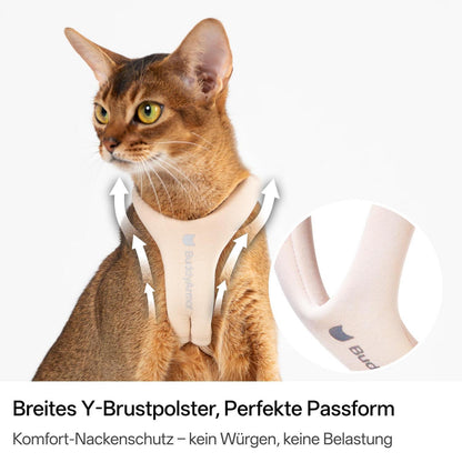 Ausbruchsicheres Katzengeschirr Y-Form Naturfarbe M