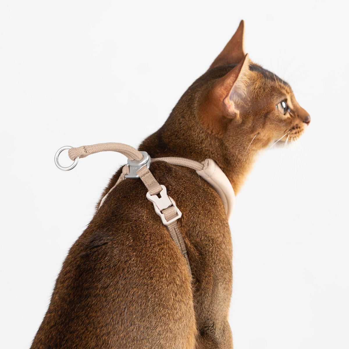 Ausbruchsicheres Katzengeschirr Y-Form Naturfarbe M