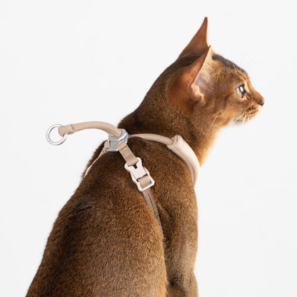 Ausbruchsicheres Katzengeschirr Y-Form Naturfarbe M