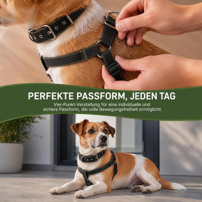 Ausbruchsicher Hundegeschirr Verstellbar – Komfort & Sicherheit