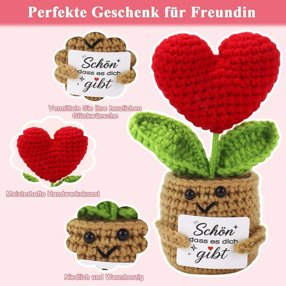 Wellness Geschenkset für Frauen – Entspannung & Überraschung